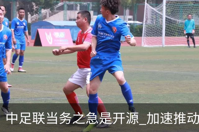中足联当务之急是开源 加速推动中国足球职业化